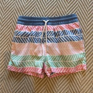 TBBC Striped Swimsuit